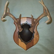 Badge Plaques